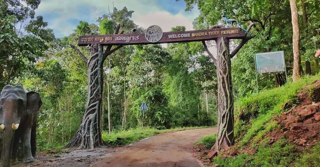 Bhadra Tiger Reserve Safari(Govt)