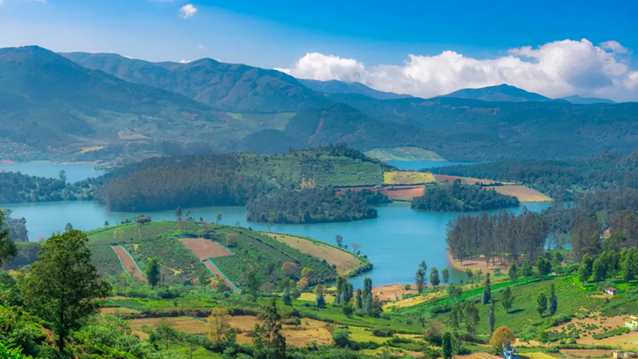 Emerald Dam View Point