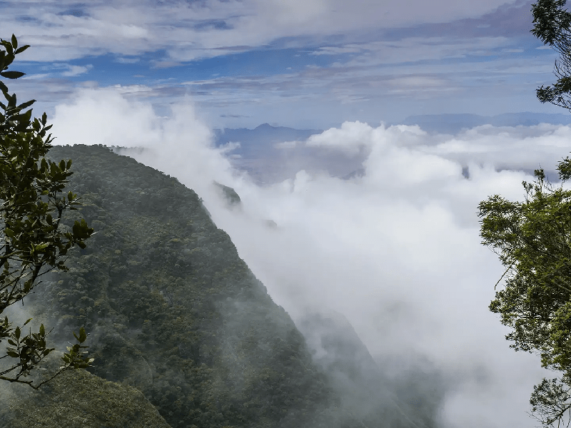 Silent Valley View