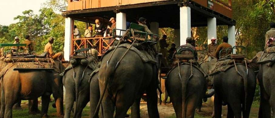 Elephant Park, Thekkady