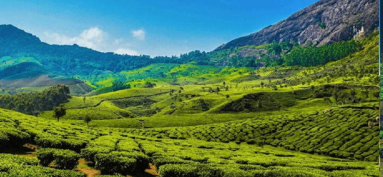 Munnar