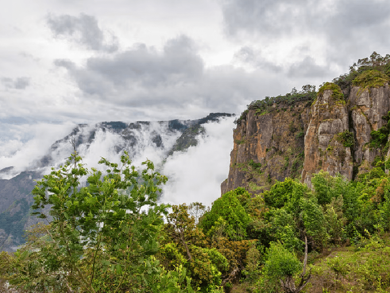 Piller Rock View Point