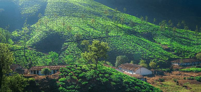 Valparai